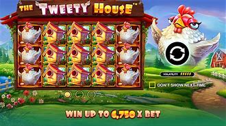 The Tweety House Slot Hari Ini Live Draw Tampa Pools Hari Ini